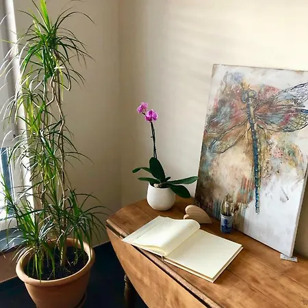 Maison D Hotes Coeur De Village Alsace & 3* Rohrwiller