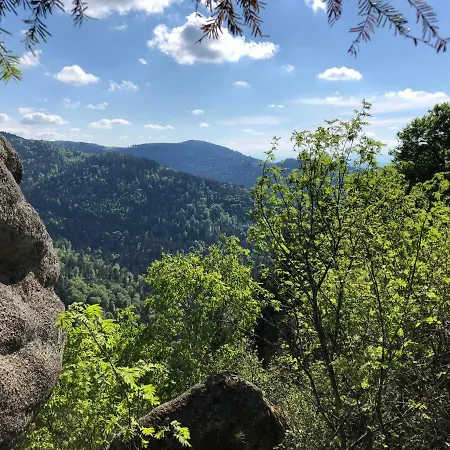 Maison D Hotes Coeur De Village Alsace & Frühstückspension 3*