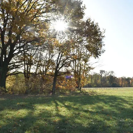 Maison D Hotes Coeur De Village Alsace & فندق مبيت وإفطار Rohrwiller