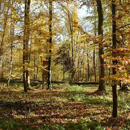 Maison D Hotes Coeur De Village Alsace & 3*